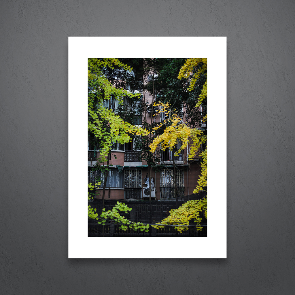 Chengdu Leaves